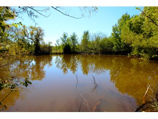 Property photo 24 - SIGNIFICANT LAND & PRODUCING MINERALS SEALED BID AUCTION - 233+/- ACRE FARM IN 1 TRACT - 6 MINERAL TRACTS IN GARVIN, MCCLAIN, GRADY & ROGER MILLS COUNTIES, OKLAHOMA